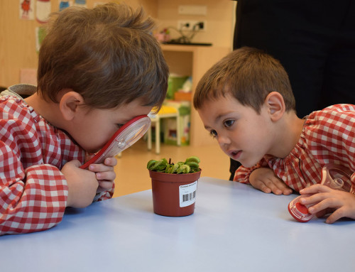 I4 d’Educació Infantil: Inici del projecte “Plantes carnívores”